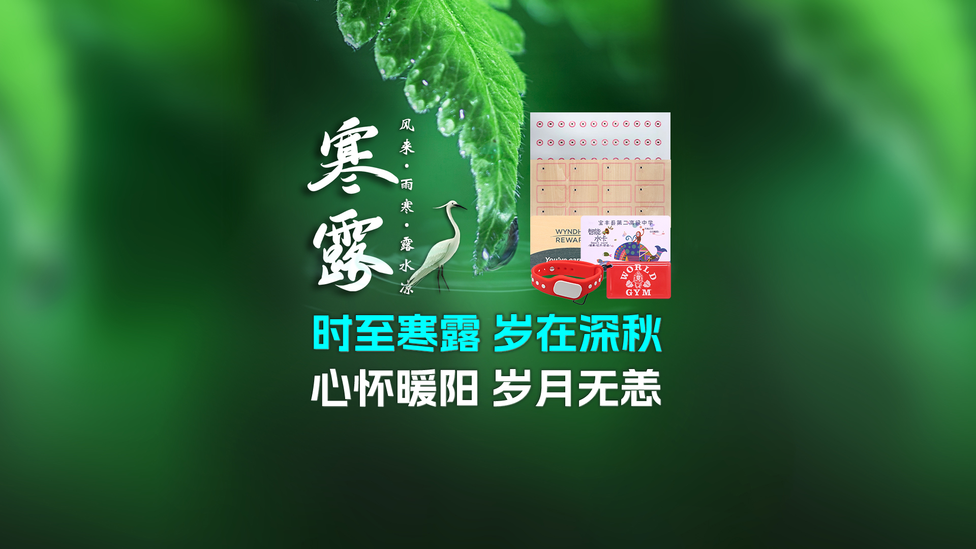 寒露至秋意濃，卡立方集團攜RFID智能卡中料木卡腕帶伴您暖度深秋